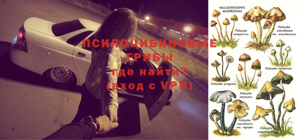 прущие грибы Алексин