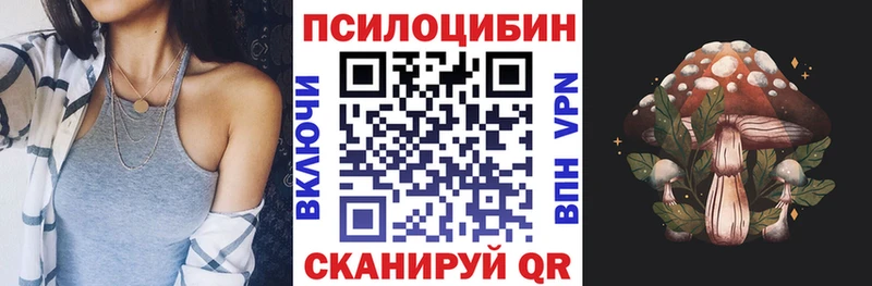 Псилоцибиновые грибы GOLDEN TEACHER  Ардатов 